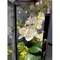 LAMPION latarenka ze storczykami i lampkami LED